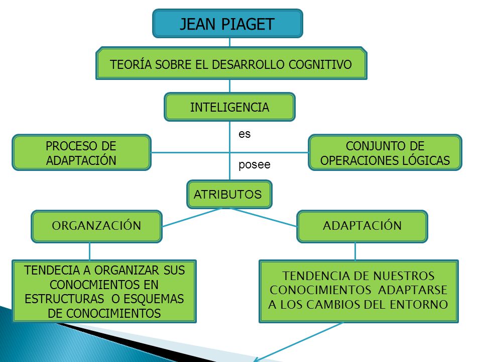 EL DESARROLLO COGNITIVO ppt video online descargar